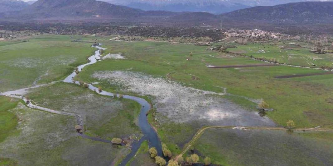 Tablo değil burası Konya: Baharla birlikte leyleklerin durağı yeşile büründü 5